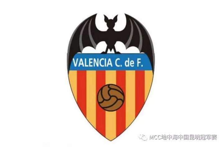 的海外球队 蝙蝠军团--瓦伦西亚u14队伍 瓦伦西亚足球俱乐部(valencia